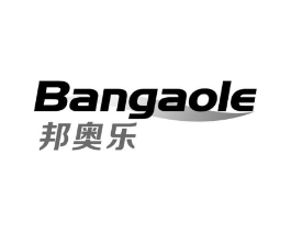 邦奥乐商标原图 第10类医疗器械