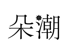 朵潮商标原图 第10类医疗器械