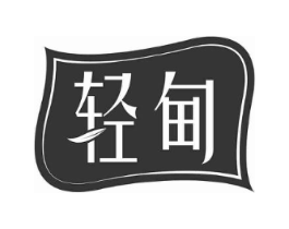 轻甸商标原图 第10类医疗器械
