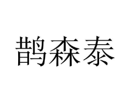 鹊森泰商标原图 第10类医疗器械