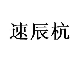 速辰杭商标原图 第10类医疗器械
