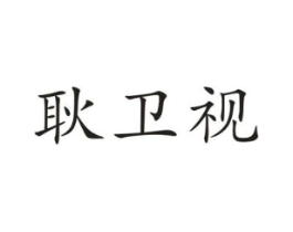 耿卫视商标原图 第10类医疗器械