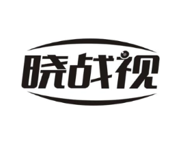 晓战视商标原图 第10类医疗器械