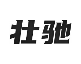 壮驰商标原图 第10类医疗器械