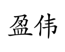 盈伟商标原图 第10类医疗器械