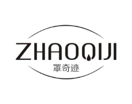 罩奇迹商标原图 第10类医疗器械