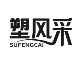 塑风采商标原图 第10类医疗器械