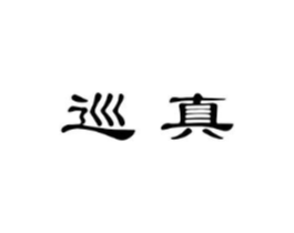 巡真商标原图 第10类医疗器械
