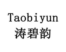 涛碧韵商标原图 第10类医疗器械