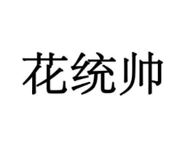 花统帅商标原图 第10类医疗器械