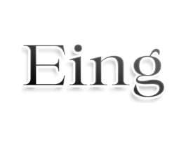 EING商标原图 第10类医疗器械
