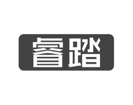 睿踏商标原图 第10类医疗器械