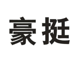豪挺商标原图 第10类医疗器械