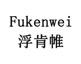 浮肯帷商标原图 第10类医疗器械