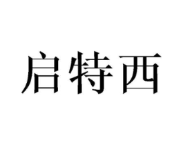 启特西商标原图 第10类医疗器械