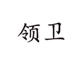 领卫商标原图 第10类医疗器械