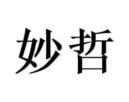 妙哲商标原图 第10类医疗器械