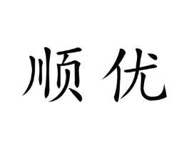 顺优商标原图 第10类医疗器械