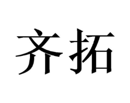 齐拓商标原图 第10类医疗器械