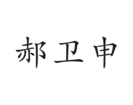 郝卫申商标原图 第10类医疗器械