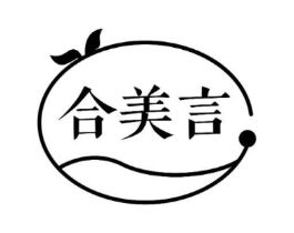 合美言商标原图 第10类医疗器械