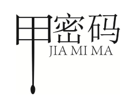 甲密码商标原图 第10类医疗器械