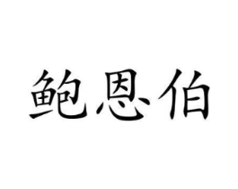鲍恩伯商标原图 第10类医疗器械