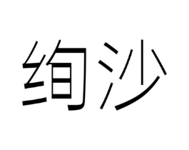 绚沙商标原图 第10类医疗器械
