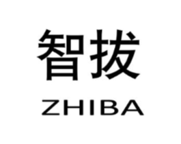 智拔商标原图 第10类医疗器械
