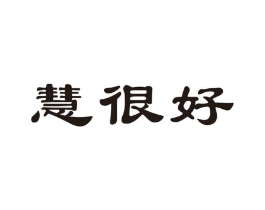 慧很好商标原图 第10类医疗器械