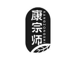 康宗师商标原图 第10类医疗器械