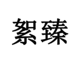 絮臻商标原图 第10类医疗器械