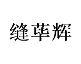 缝荜辉商标原图 第10类医疗器械