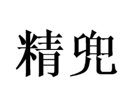 精兜商标原图 第10类医疗器械