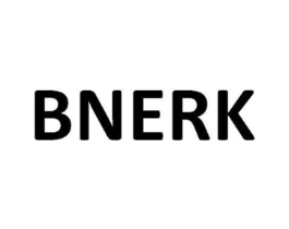 BNERK商标原图 第10类医疗器械