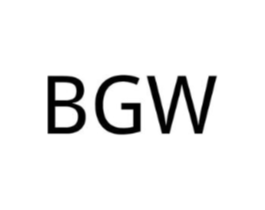 BGW商标原图 第10类医疗器械