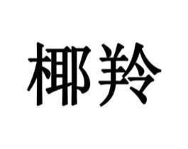 椰羚商标原图 第10类医疗器械