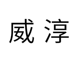 威淳商标原图 第10类医疗器械