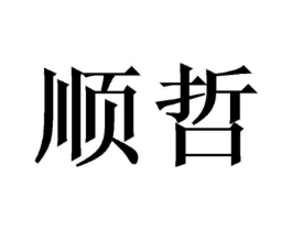 顺哲商标原图 第10类医疗器械