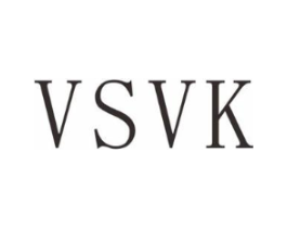 VSVK商标原图 第10类医疗器械