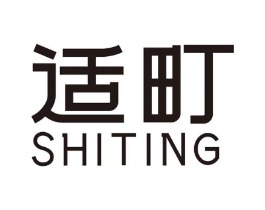 适町商标原图 第10类医疗器械