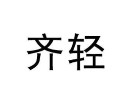 齐轻商标原图 第10类医疗器械