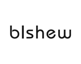 BLSHEW商标原图 第10类医疗器械