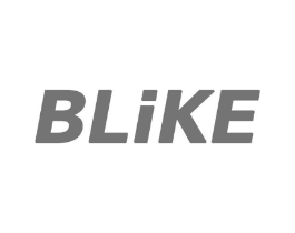 BLIKE商标原图 第10类医疗器械