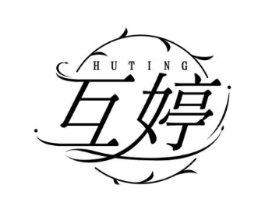 互婷商标原图 第10类医疗器械