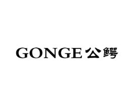 公鳄商标原图 第10类医疗器械