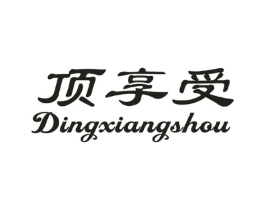 顶享受商标原图 第10类医疗器械