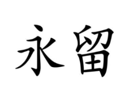 永留商标原图 第10类医疗器械