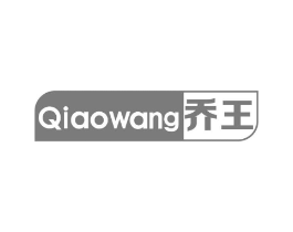 乔王商标原图 第10类医疗器械