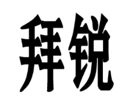 拜锐商标原图 第10类医疗器械